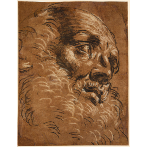The Head of a Bearded Man